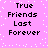 Pixelated text 'True Friends Last Forever' repeated twice on a pink background with white dots.