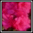 iconhell_beauty1
