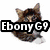 A pixelated cat with brown and white fur appears above text reading "Ebony G9" on a white background.