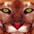 Animals icons for AIM, MSN, MySpace and Yahoo