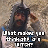 Six- of medieval-themed characters with overlaid text, showing a sequence of expressions and dialogue about being turned into a newt