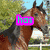 A four- shows horses with overlaid text: top-left has a brown horse, top-right displays 'a heart' over a rocky background, bottom-left reads 'for horses', and the bottom-right is blank