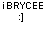 Black pixelated text 'iBRYCEE' above a smiley face ':]' on white background.