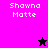 Pixelated text 'Shawna Matte' appears on four colored backgrounds with a star symbol changing from black to pink.