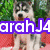 A pixelated image of a husky dog with green foliage background and red surface, overlaid with text in purple, blue, and green.