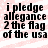 Black text on a light pink background reads "i pledge allegiance 2 the flag of the usa" in four identical arranged in a
