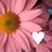 Pixelated static image of a pink flower with yellow-orange center and white heart symbol on right side.