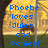 Pixelated image with blue text reading 'Phoebe loves Jules and Ponies!' over a blurred background of yellow trees, green grass, and dark vertical elements.