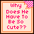 Two side-by-side pixel art frames of a text-based buddy icon with pink and orange borders, displaying the phrase "Why Does He Have To Be So Cute??" in varying color schemes across frames.