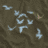 Animated icon with light blue bird silhouettes flying across a brown textured background, transitioning to pink text on dark brown and colorful block letters spelling 'AMERICAN EAGLE' with heart symbol.