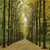 A pixelated forest scene with tall trees and a sunlit path, rendered in warm yellow and green tones with visible pixelation.