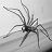 A black-and-white animated spider icon with eight legs, positioned on a leaf-like surface in four showing subtle leg movement
