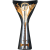 A tall, narrow, metallic trophy with a flared top and base, featuring reflective silver and brown tones against a plain gray background.