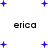 Blue plus signs animate around the repeated text 'erica' on a white background, with varying quantities and positions of symbols across frames.