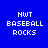 Blue background with white pixelated text 'NWT BASEBALL ROCKS' in four quadrants, one quadrant showing a yellow glow effect.