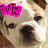 Six dog images arranged in a with overlaid text in various colors; each dog has distinct features and expressions