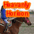 A pixelated image of a person riding a horse with four distinct text overlays in different colors and positions.
