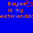 Blue background with orange pixelated text reading "Boylee is my bestfrienddoes" and a red heart symbol replacing the 'o' in Boylee.