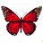 A red butterfly with brown wing tips appears on a white background, next to cyan text reading FOLLOW THE BUTTERFLIES and FOLLOW THE WHEEEEEEE!!!!
