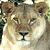 A pixelated lion's face occupies the left half of a split-screen image, with green text reading 'Original Icons .com' on the right side against a dark background.