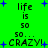 Green background with blue plus signs and black text reading 'life is 50 50... CRAZY!' in pixelated font.