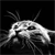 Pixelated grayscale image of a stylized animal head with prominent ears and whiskers against a black background, appearing as a static buddy icon.
