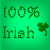 Green background with four pixelated sections: top-left text '100% Irish' and clover, top-right 'Irish Pride', bottom-left green bear-like figure, bottom-right map outline with flag colors and 'Irish Pride'.