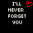 Black background with white pixelated text reading "I'LL NEVER FORGET YOU" and a red pixelated heart symbol above the text on the left side.