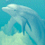 Pixelated dolphin leaping from waves on light blue background, adjacent to green with bright green text