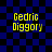 Yellow pixelated text 'Gedric Diggory' on blue and black checkered background with visible distortion effects.