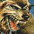 A pixelated static image shows a wolf's face with dark eyes, brown fur, and an open mouth revealing red tongue against a blue background.