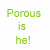 A contact sheet of two animated frames showing a cartoon character's face and torso with green text reading "Porous is he!" on the left side.