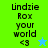 Pixelated text 'Undzie Rox your world <3' with a star symbol on green and blue backgrounds.