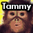 Pixelated cartoon monkey face with brown fur, black glasses, and yellow background; text "Tammy" in bold black font with white outline.