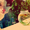 A pixelated cat with black and white fur lies next to a glass jar filled with green and brown contents on a light surface.