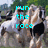 Pixelated image of a horse statue with blue text overlays reading 'run the race', 'live the dream', and 'shine' in different frames.