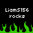 Pixelated text displays "Liam5156 rocks" in two identical horizontal sections above green flame-like shapes on a black background.
