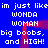 Blue background with white pixelated text repeating 'im just likei m wonda woman big boobs, big boobs, and HIGH!' in two