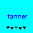 Blue pixelated text 'tanner' on cyan background with two of black and teal puzzle-piece icons below