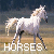 A white horse in mid-gallop with a flowing mane and tail, set against a blurred natural background.