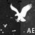 Pixelated white eagle silhouette with outstretched wings on dark background, accompanied by small white shapes and 'AE' text.