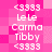 Pixelated pink background with repeated white text elements arranged in vertical , including '<3333', 'Le Le', 'Carma', and 'Tibby' on a of solid color blocks