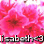 Pixelated pink floral background with bold black-and-white text reading 'Isabeth' and a heart symbol at the bottom.