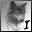 A grayscale animated icon shows a wolf-like animal's head with shifting text below it, cycling through four distinct letter states.