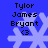 Blue background with four identical pixelated snowflakes, each overlaid with black text reading 'Tylor James Bryant' and '<3' in a
