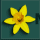 Yellow flower with six petals and orange center on dark teal background, overlaid with partial text fragments.