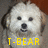 Pixelated image of a white dog's face with dark eyes and nose, yellow text reading "T-BEAR" below the head on a gray background.