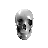 A grayscale 3D-rendered skull icon rotates through multiple angles, showing front, side, and back views with smooth shading.