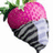 Pixelated image of a radish with pink and magenta top, green leafy stems, and striped black-and-gray root on white background.
