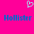 Bright pink background with a light blue pixelated heart above two identical blue "Hollister" text blocks.